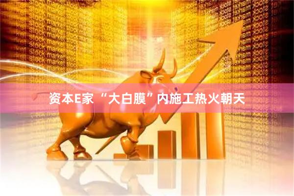 资本E家 “大白膜”内施工热火朝天