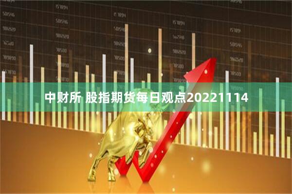 中财所 股指期货每日观点20221114
