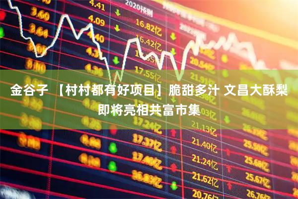 金谷子 【村村都有好项目】脆甜多汁 文昌大酥梨即将亮相共富市集