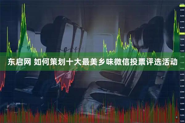 东启网 如何策划十大最美乡味微信投票评选活动