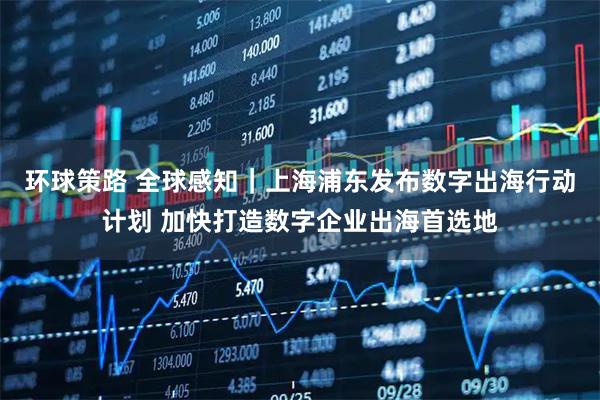 环球策路 全球感知｜上海浦东发布数字出海行动计划 加快打造数字企业出海首选地