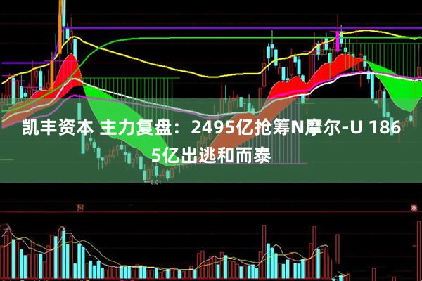 凯丰资本 主力复盘：2495亿抢筹N摩尔-U 1865亿出逃和而泰