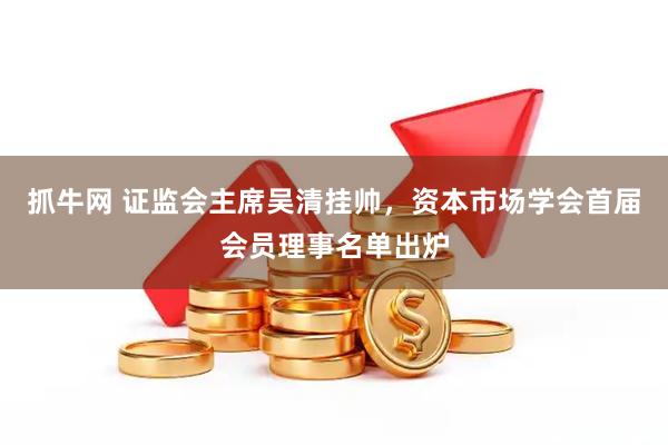 抓牛网 证监会主席吴清挂帅，资本市场学会首届会员理事名单出炉