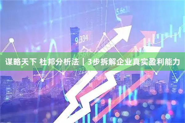 谋略天下 杜邦分析法｜3步拆解企业真实盈利能力